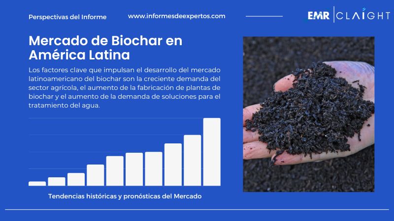 Informe del Mercado de Biochar en América Latina