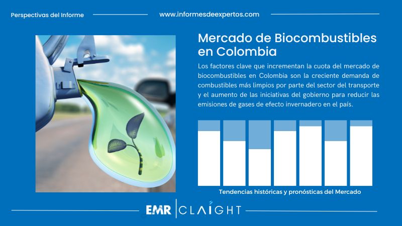 Informe del Mercado de Biocombustibles en Colombia