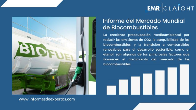 Informe del Mercado de Biocombustibles