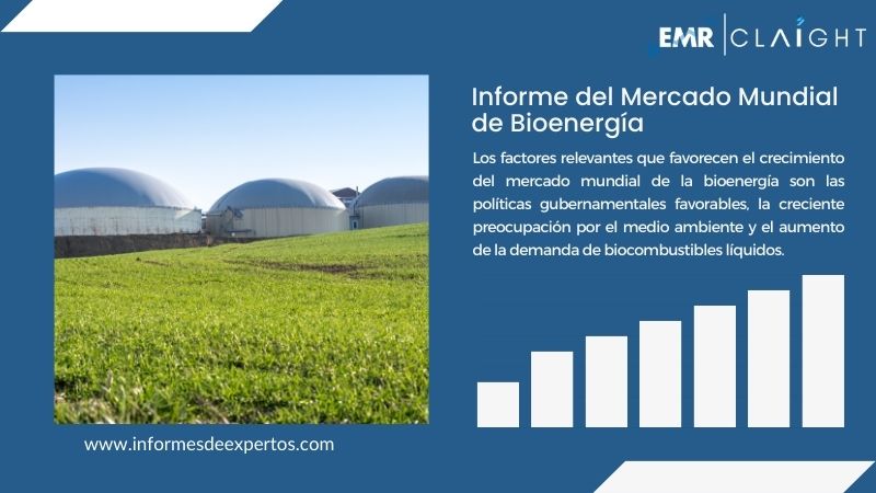 Informe del Mercado de Bioenergía