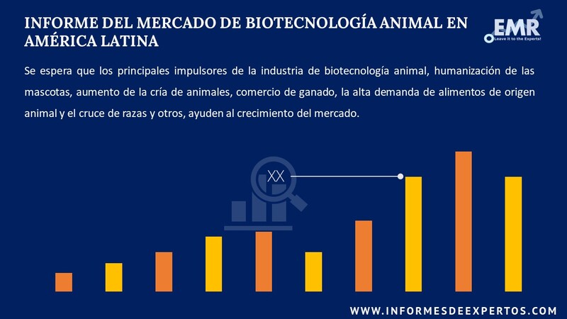 Informe del Mercado de Biotecnologia Animal en America Latina