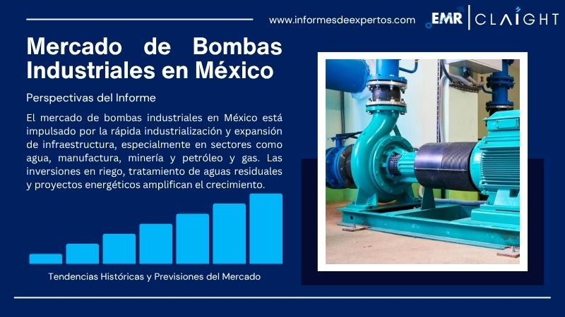 Informe del Bombas Industriales en México
