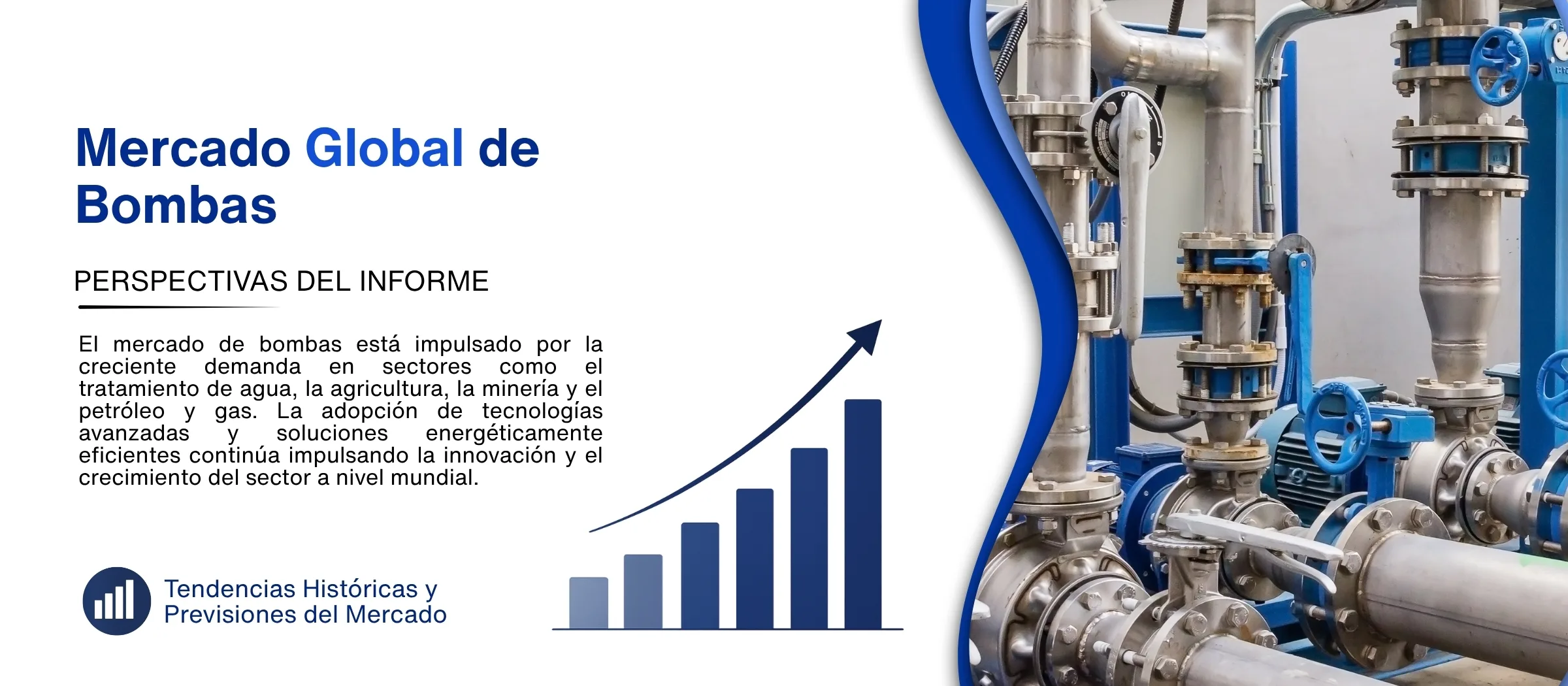 informe del mercado de bombas