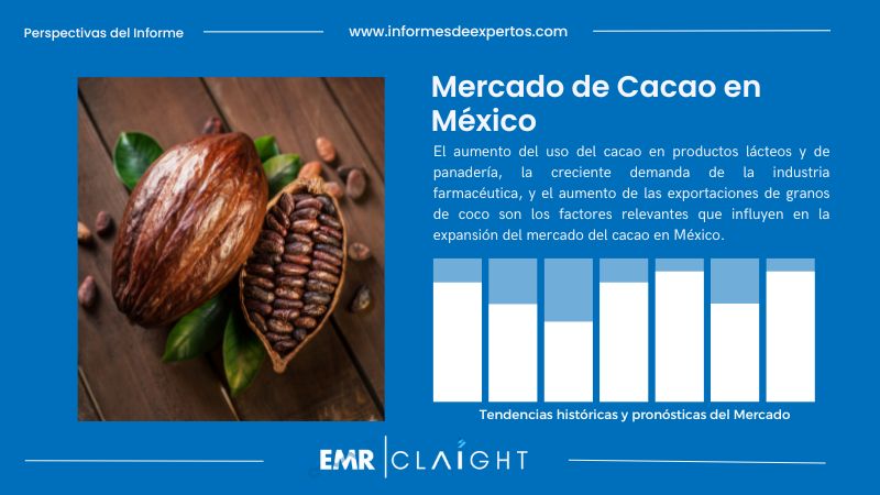 Informe del Mercado de Cacao en México