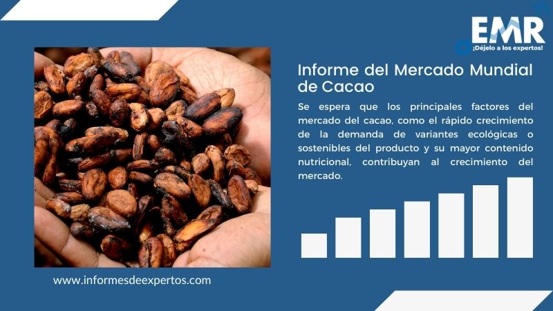 Informe del Mercado del Cacao