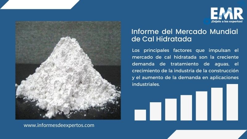 Informe del Mercado de Cal Hidratada