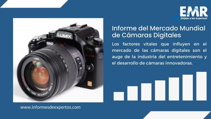 Informe del Mercado de Cámaras Digitales