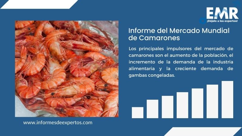 Informe del Mercado de Camarones