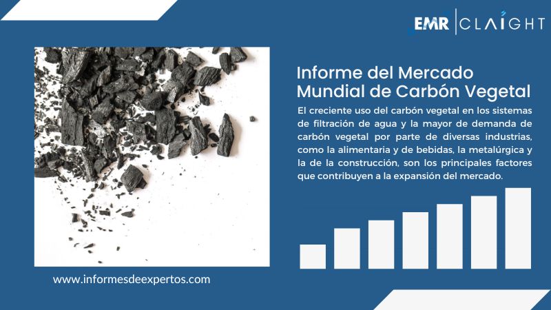 Informe del Mercado de Carbón Vegetal