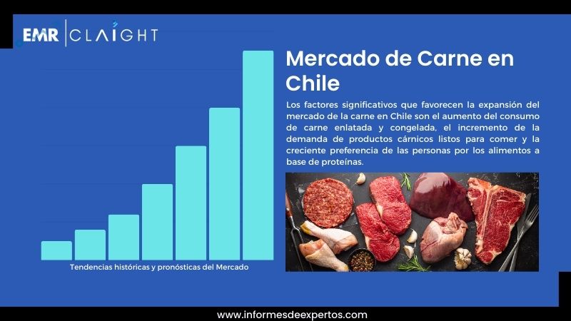 Informe del Mercado de Carne en Chile