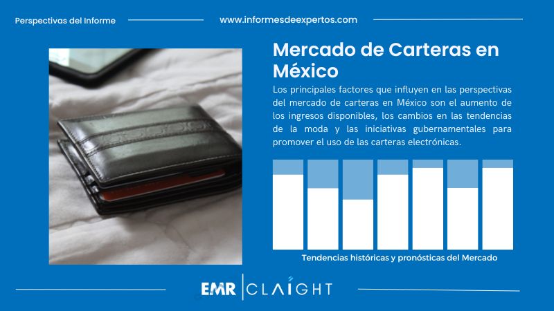 Informe del Mercado de Carteras en México