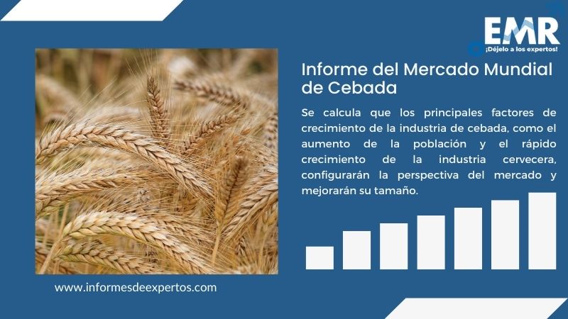 Informe del Mercado de Cebada