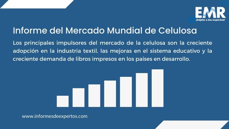 Informe del Mercado de Celulosa