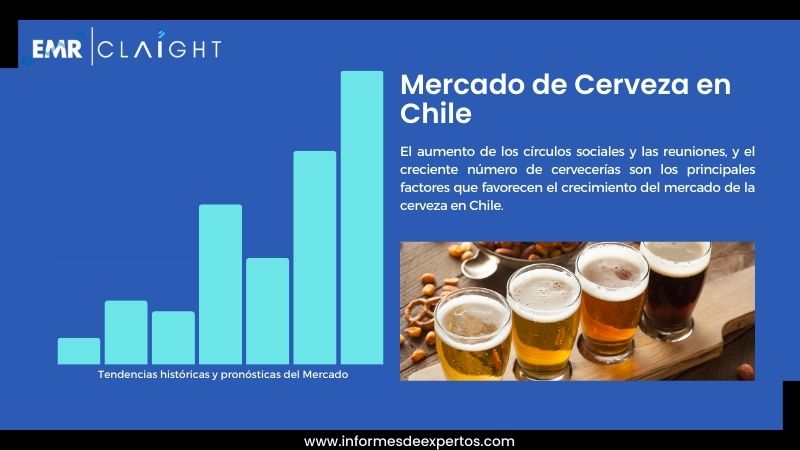 Informe del Mercado de Cerveza en Chile