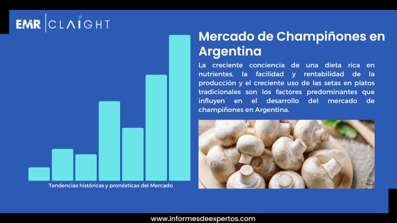 Informe del Mercado de Champiñones en Argentina