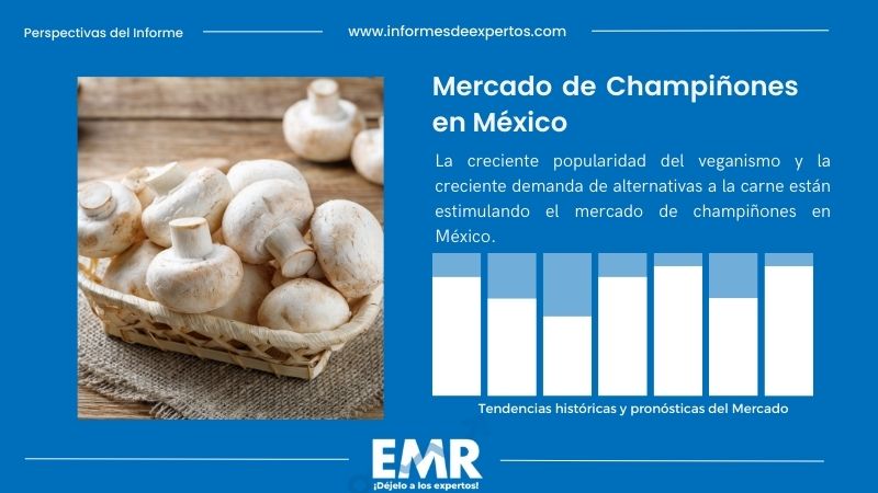 Informe del Mercado de Champiñones en México