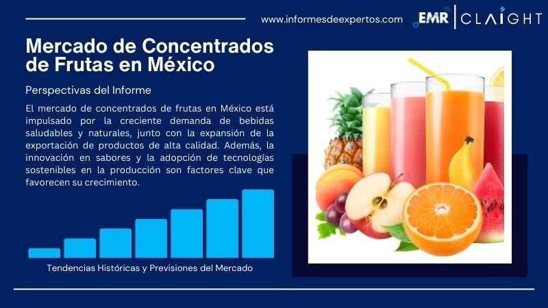 Informe del Mercado de Concentrados de Frutas en México