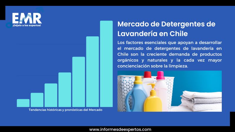 Informe del Mercado de Detergentes de Lavandería en Chile