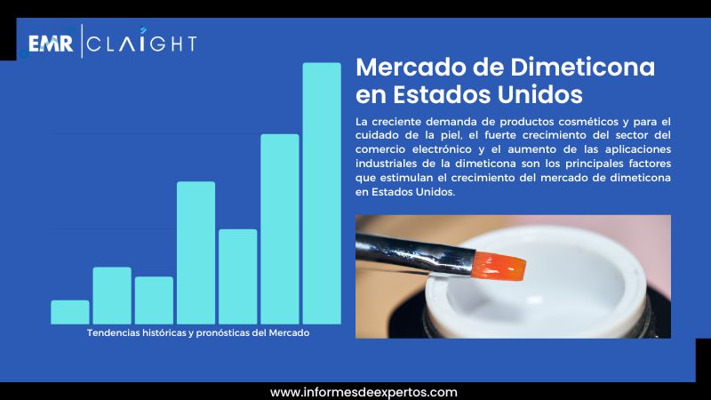 Informe del Mercado de Dimeticona en Estados Unidos