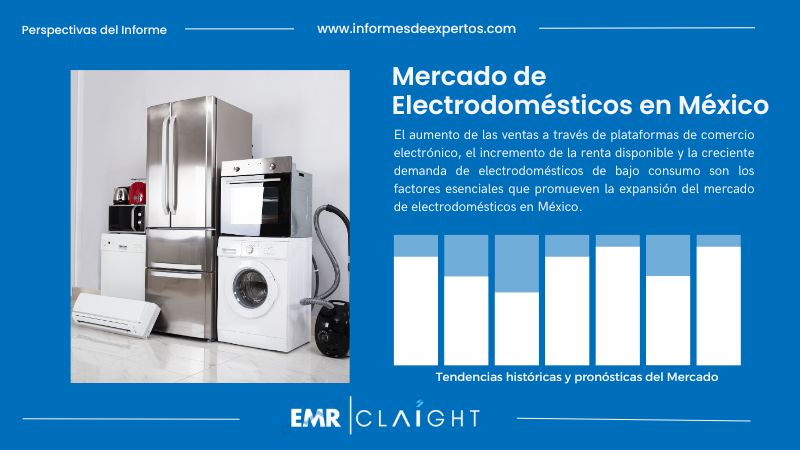 Informe del Mercado de Electrodomésticos en México