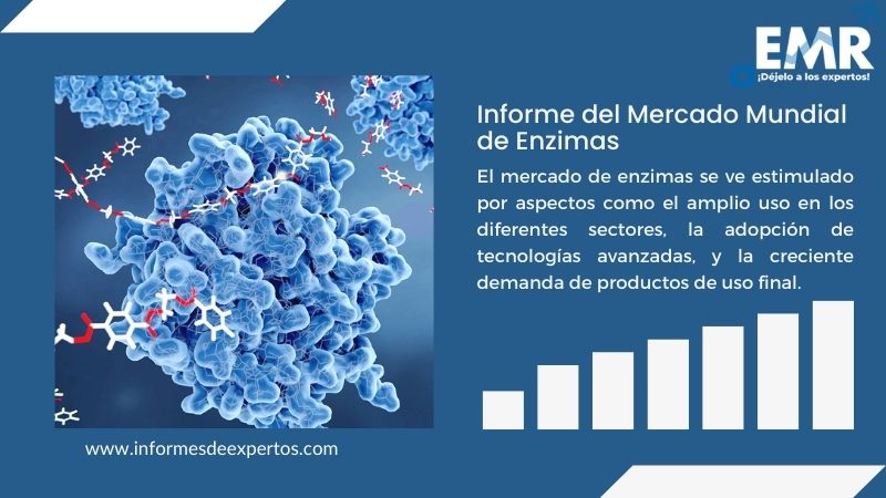 Informe del Mercado de Enzimas