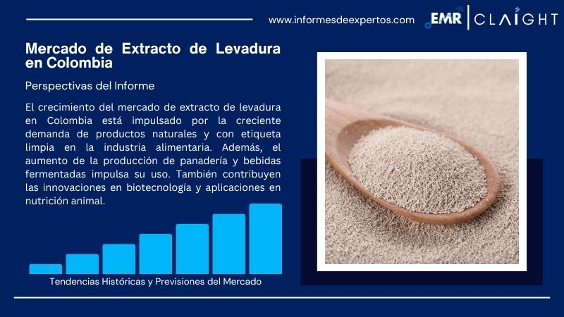 Informe del Mercado de Extracto de Levadura en Colombia