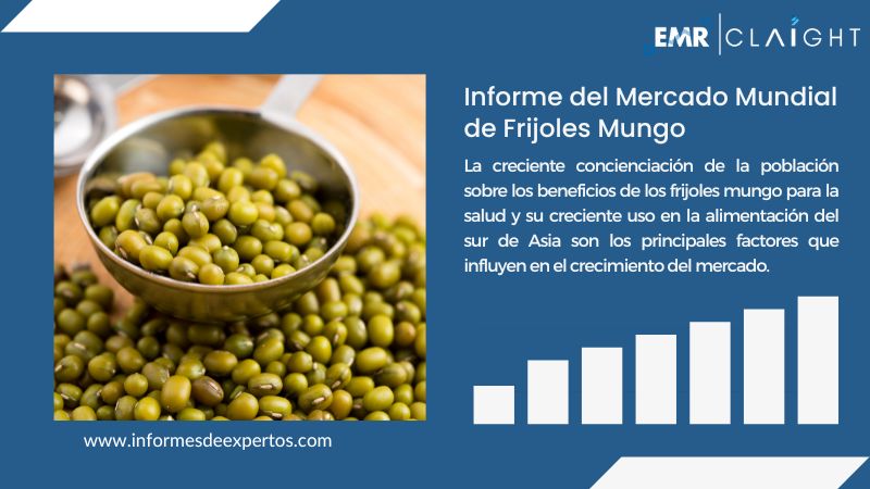 Informe del Mercado de Frijoles Mungo