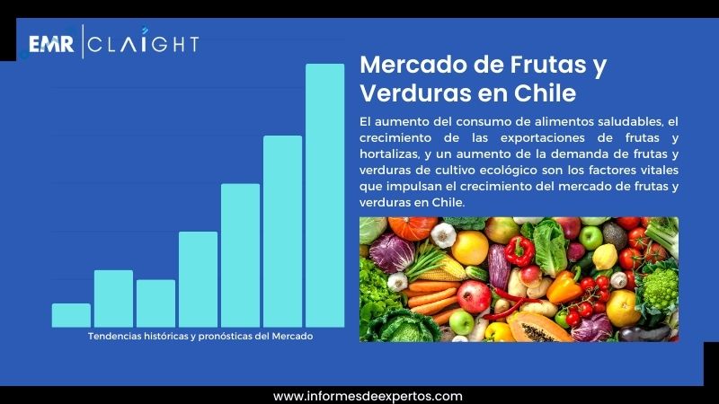 Informe del Mercado de Frutas y Verduras en Chile