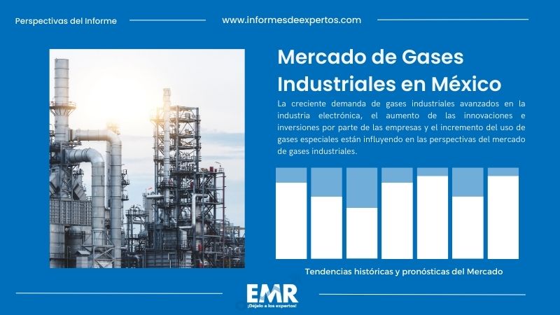 Informe del Mercado de Gases Industriales en México