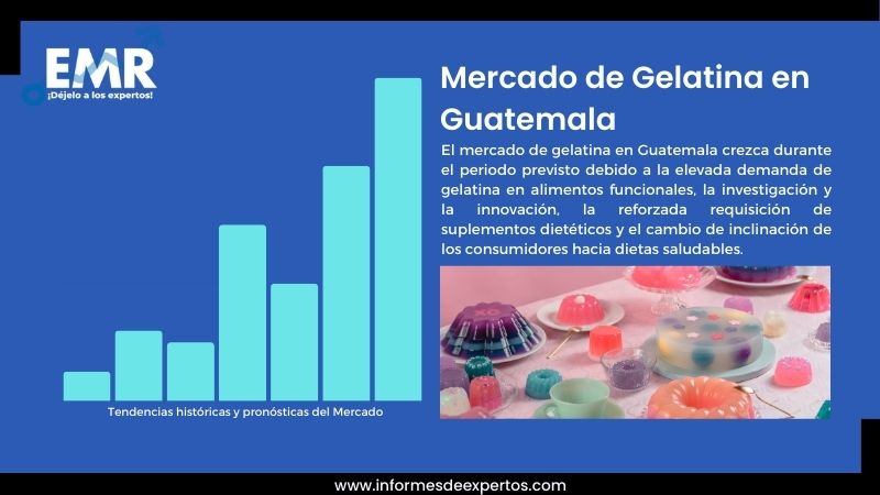 Informe del Mercado de Gelatina en Guatemala