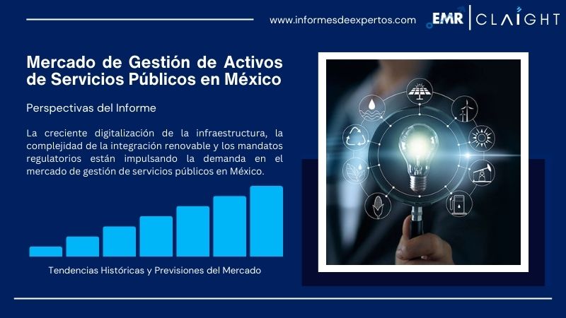 Informe del Mercado de Gestión de Activos de Servicios Públicos en México