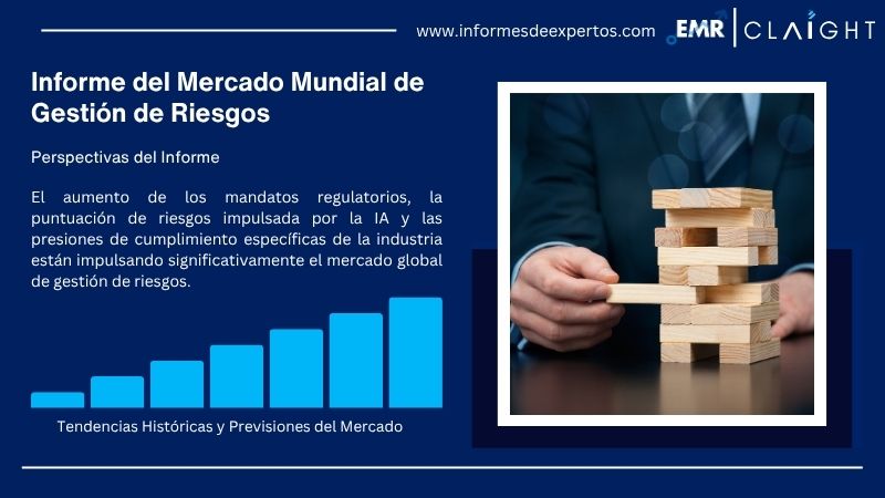 Informe del Mercado de Gestión de Riesgos