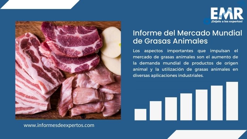 Informe del Mercado de Grasas Animales