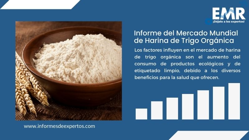 Informe del Mercado de Harina de Trigo Orgánica