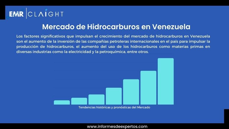 Informe del Mercado de Hidrocarburos en Venezuela