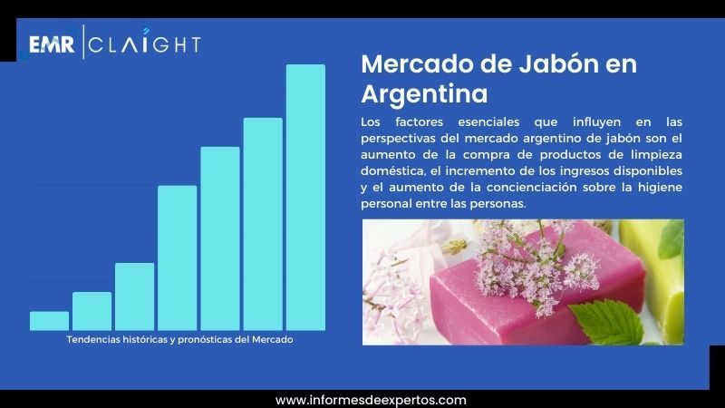Informe del Mercado de Jabón en Argentina