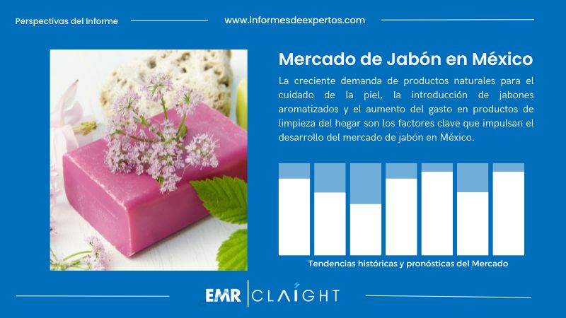 Informe del Mercado de Jabón en México
