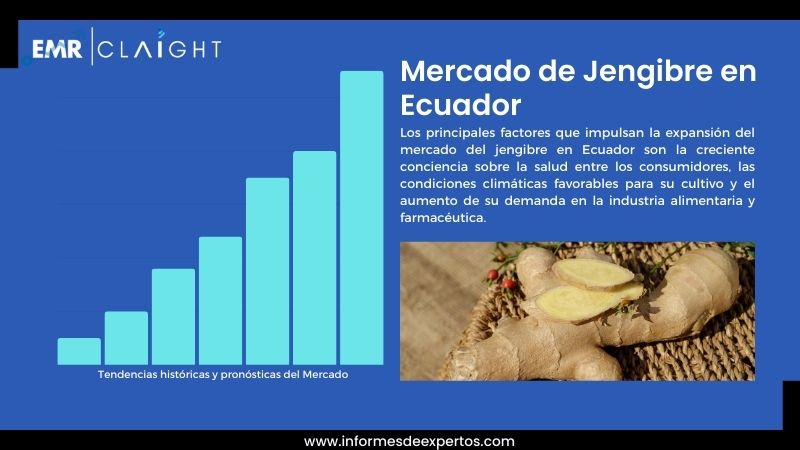 Informe del Mercado de Jengibre en Ecuador
