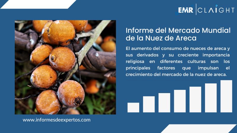 Informe del Mercado de la Nuez de Areca