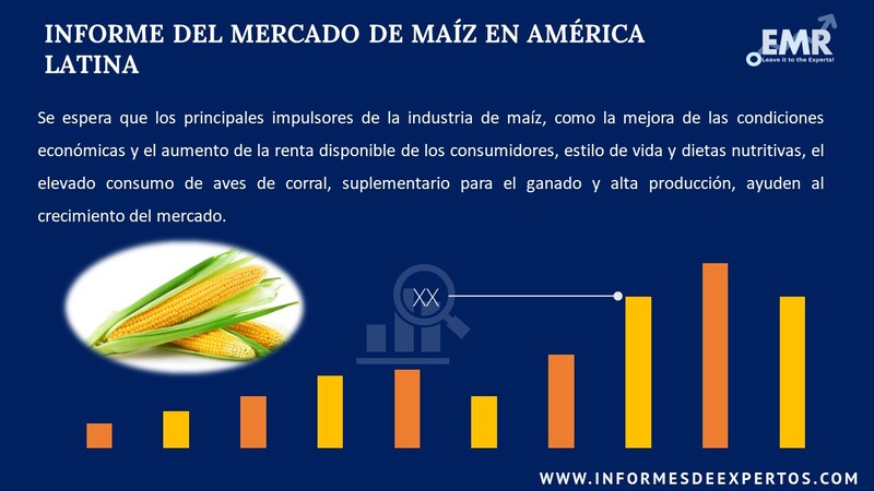 Informe del Mercado de Maíz en América Latina