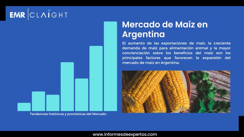 Informe del Mercado de Maíz en Argentina