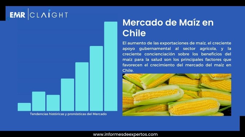 Informe del Mercado de Maíz en Chile