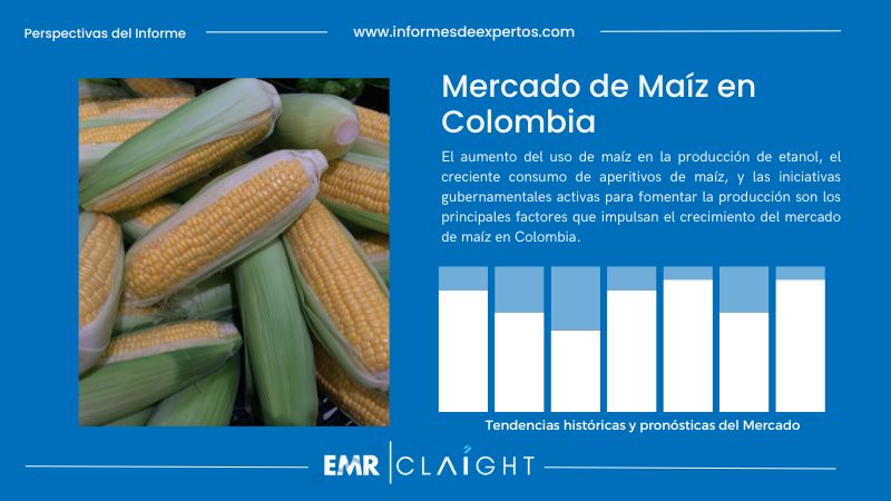Informe del Mercado de Maíz en Colombia