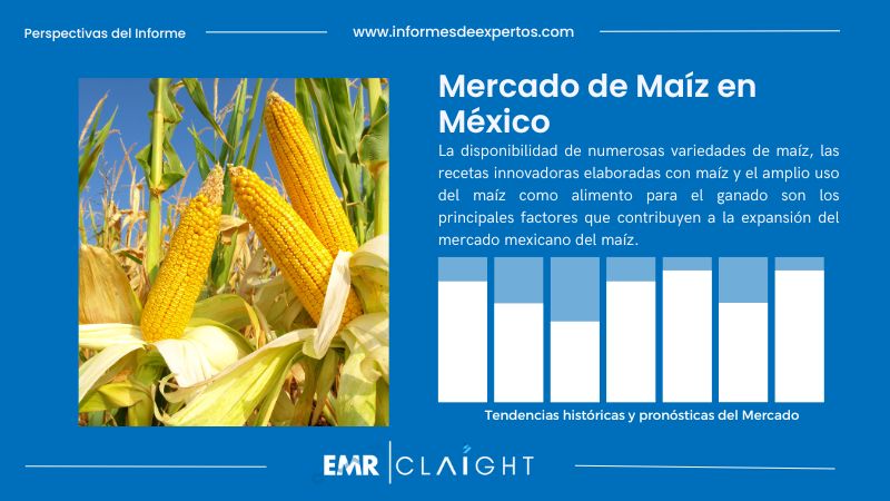 Informe del Mercado de Maíz en México