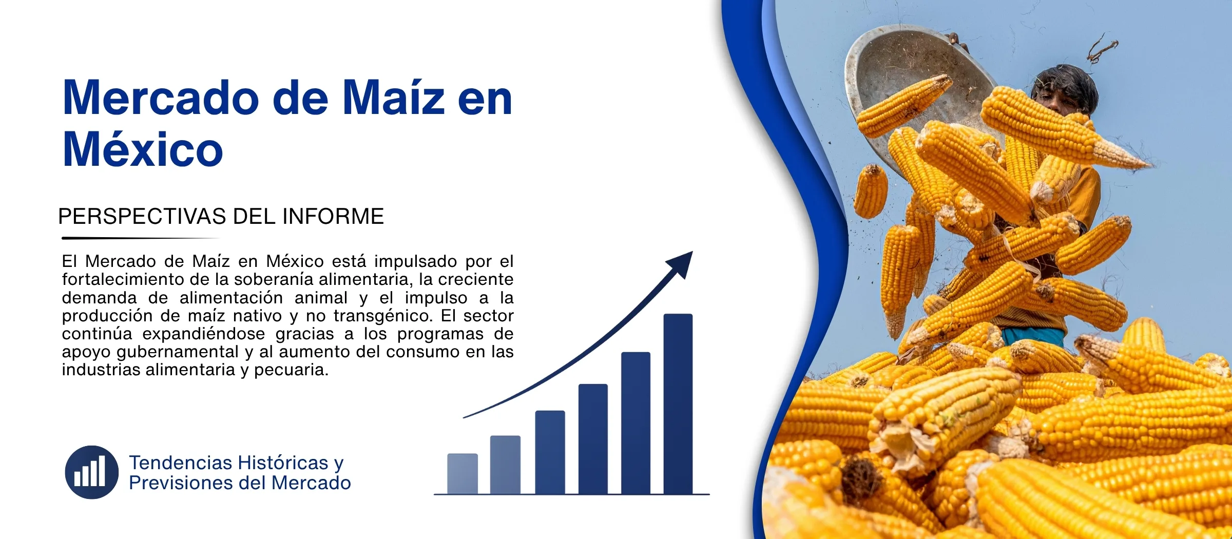 informe del mercado de maiz en mexico