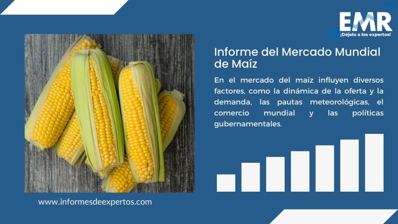 Informe del Mercado de Maíz