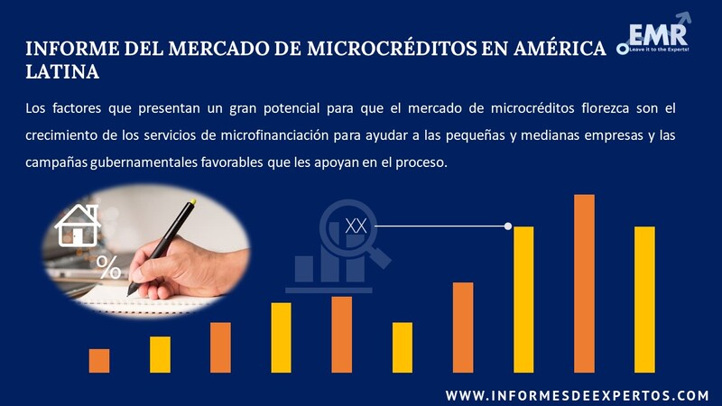 Informe del Mercado de Microcreditos en America Latina