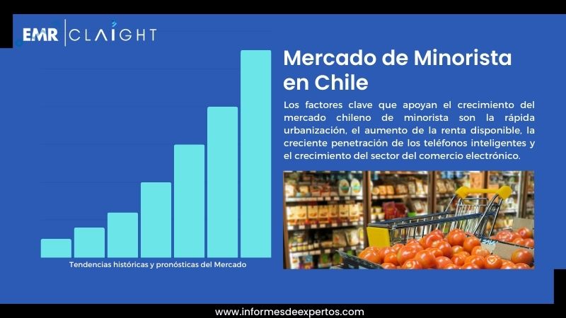 Informe del Mercado de Minorista en Chile