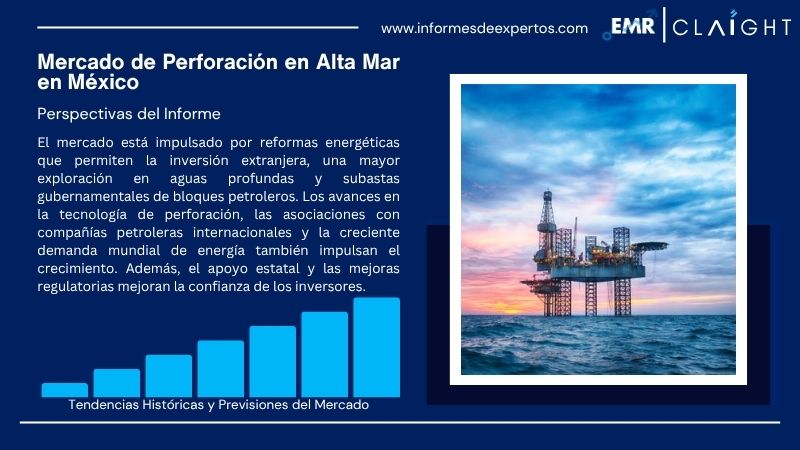 Informe del Mercado de Perforación en Alta Mar en México