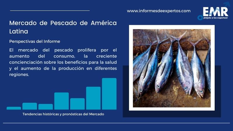 Informe del Mercado de Pescado de América Latina